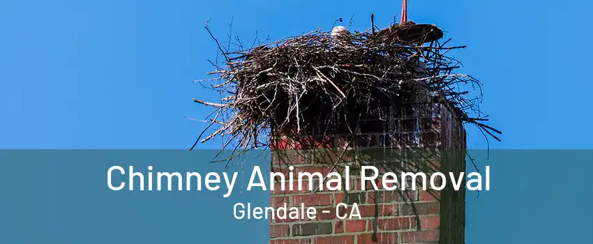 Chimney Animal Removal Glendale - CA