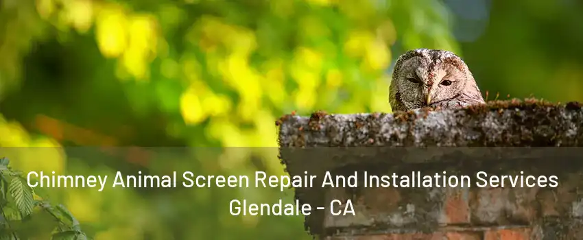 Chimney Animal Screen Repair And Installation Services Glendale - CA