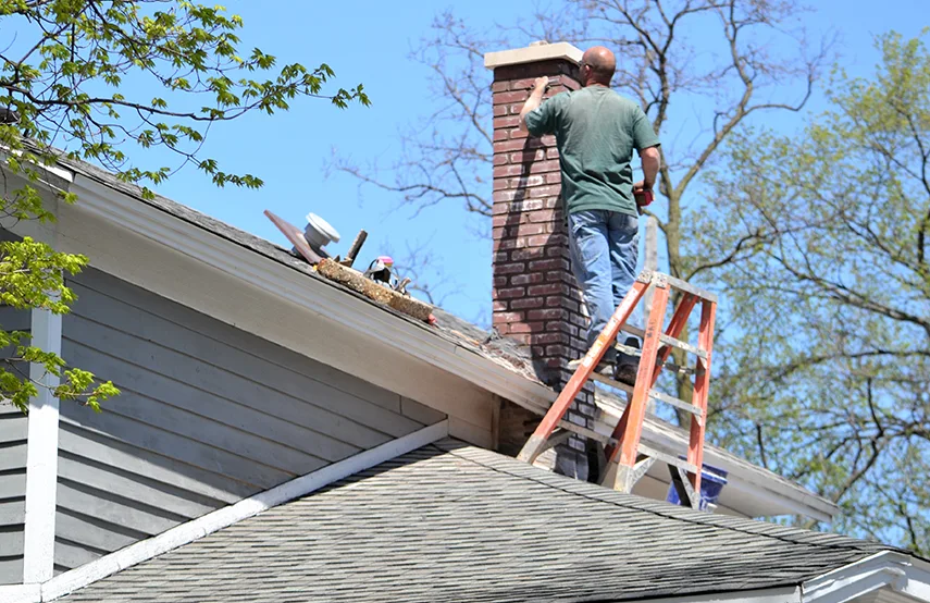 Chimney & Fireplace Inspections Services in Glendale, CA